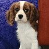lunalinereloved
